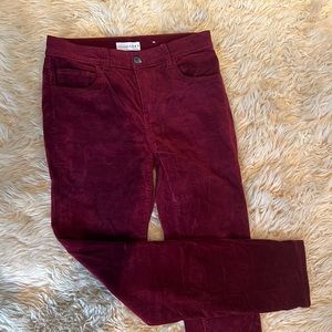Loft velvet jeans in burgundy